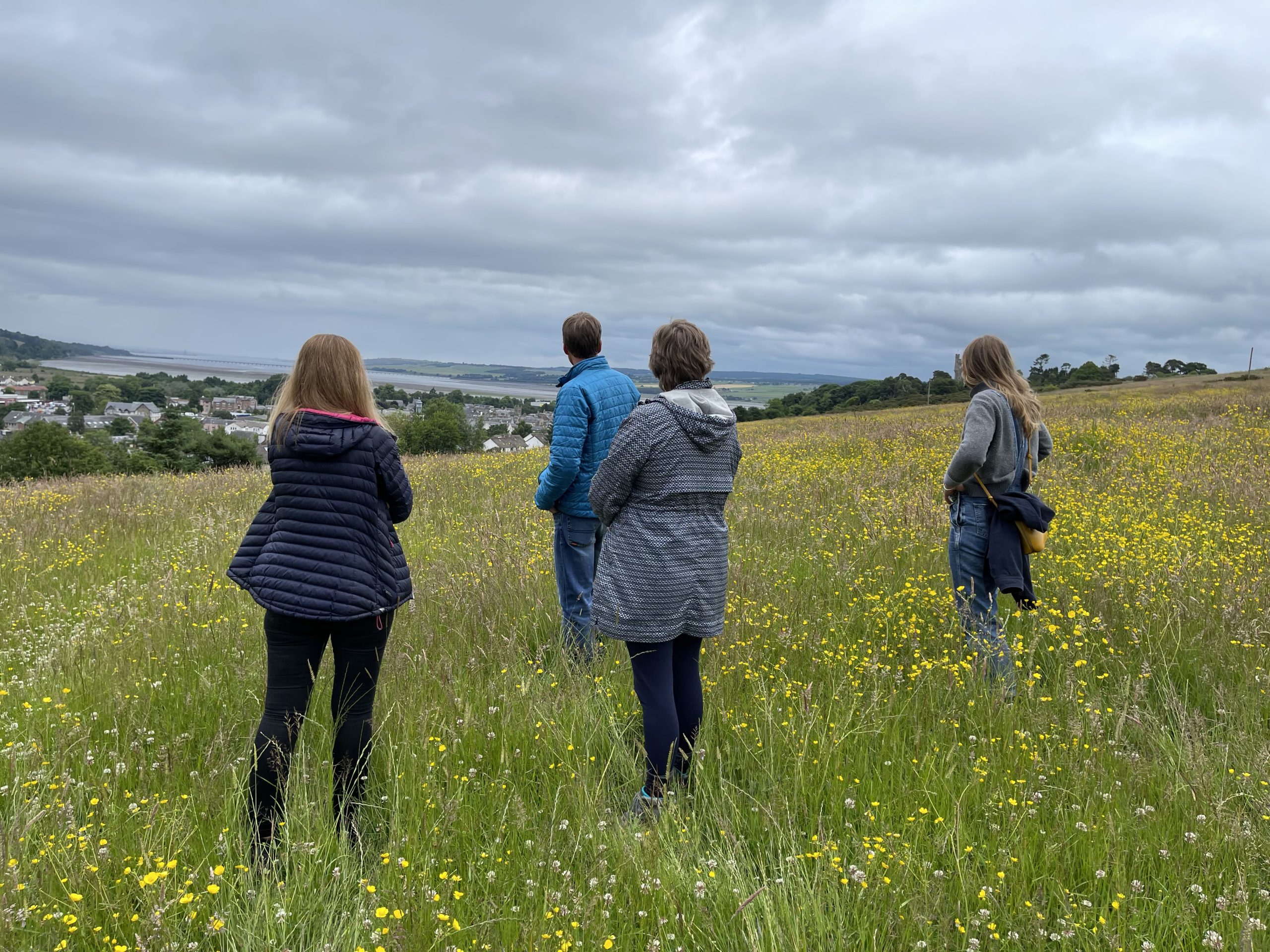 Steering group meeting in field