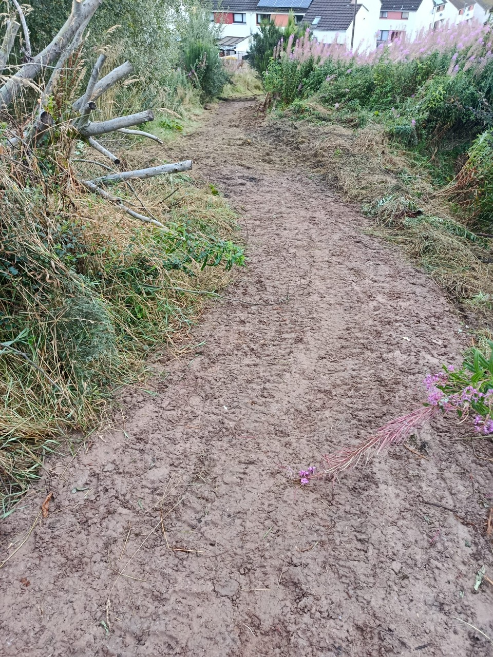 202608 MC Path 2
